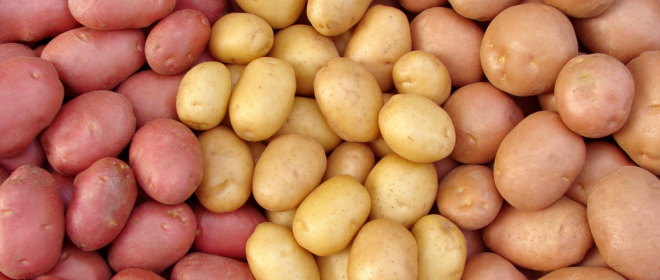 NEW growAG newsletter Story- potatoes.png